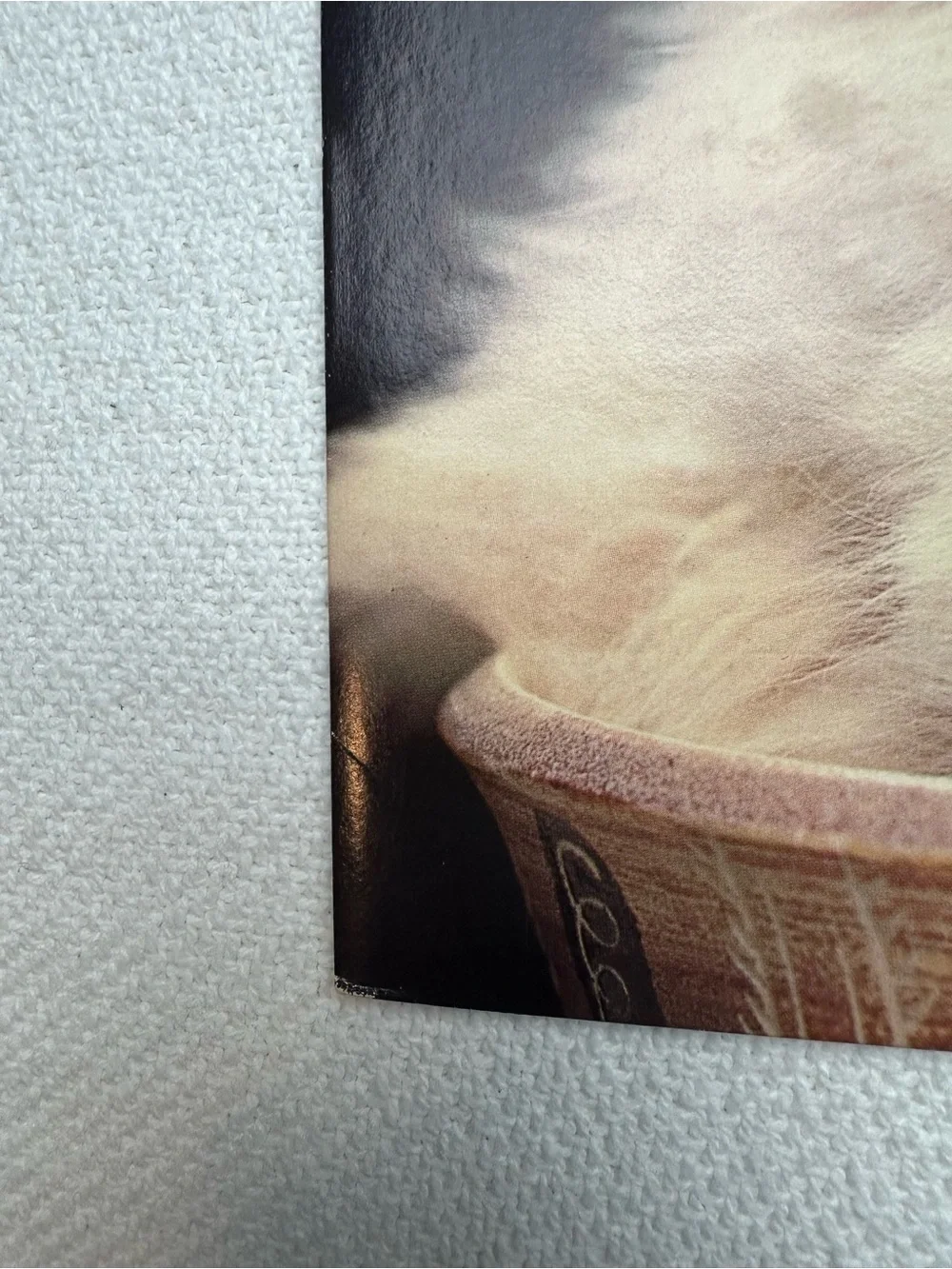 Vintage 1970s Mead Kitten Cat Folder Soft Cream Cat Cover